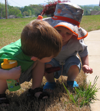 flower inspection.jpg